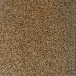 Fairbourne Olive