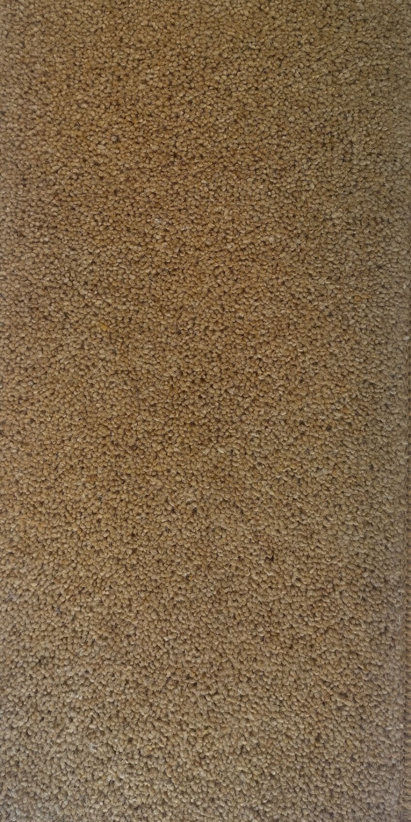 Fairbourne Olive