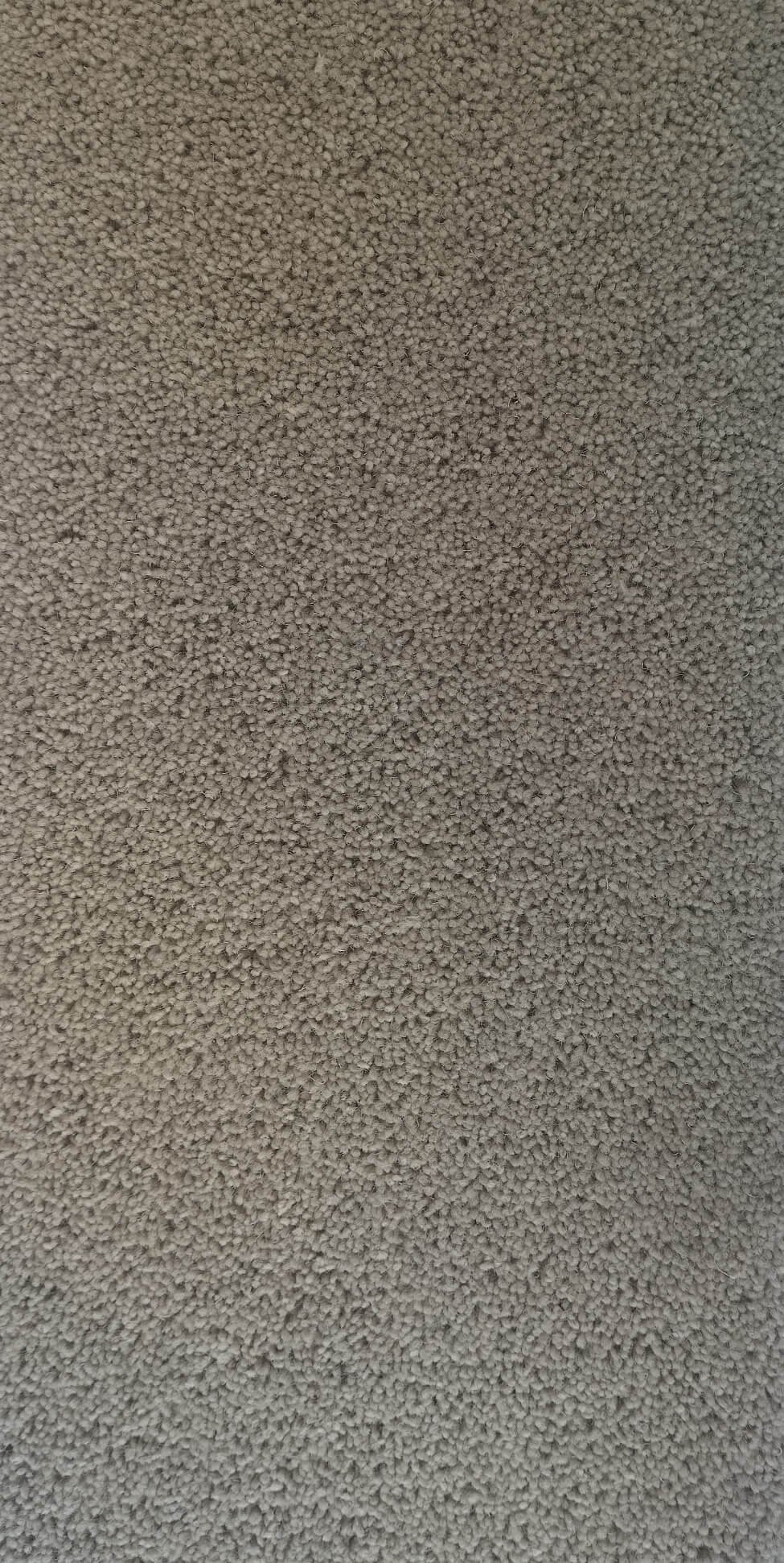Fairbourne Brownish Gray