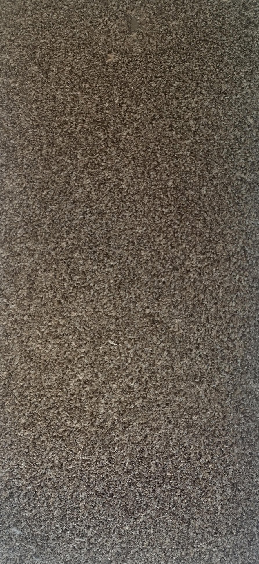 Fairbourne Muted Brown