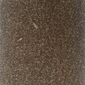 Luxury Rich Oak